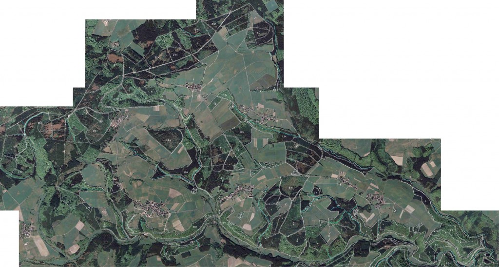Gemeindewald von Hümmel