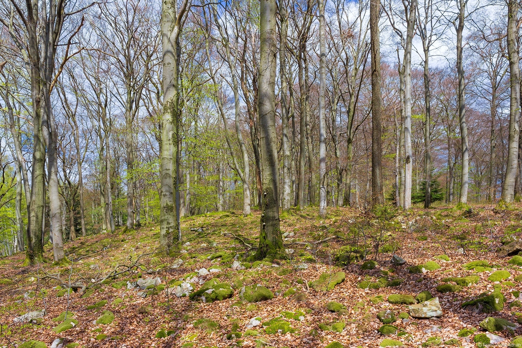 Densberger_Keller_01