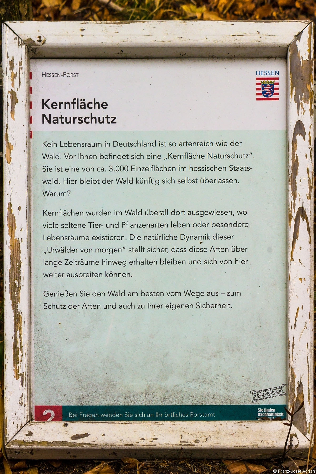 Prozessschutz_Wuestegarten_01