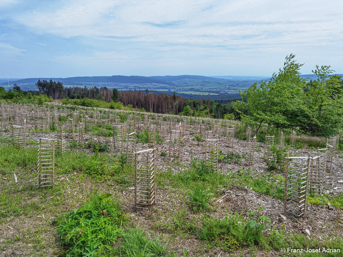 Alptraum_Suentel-12