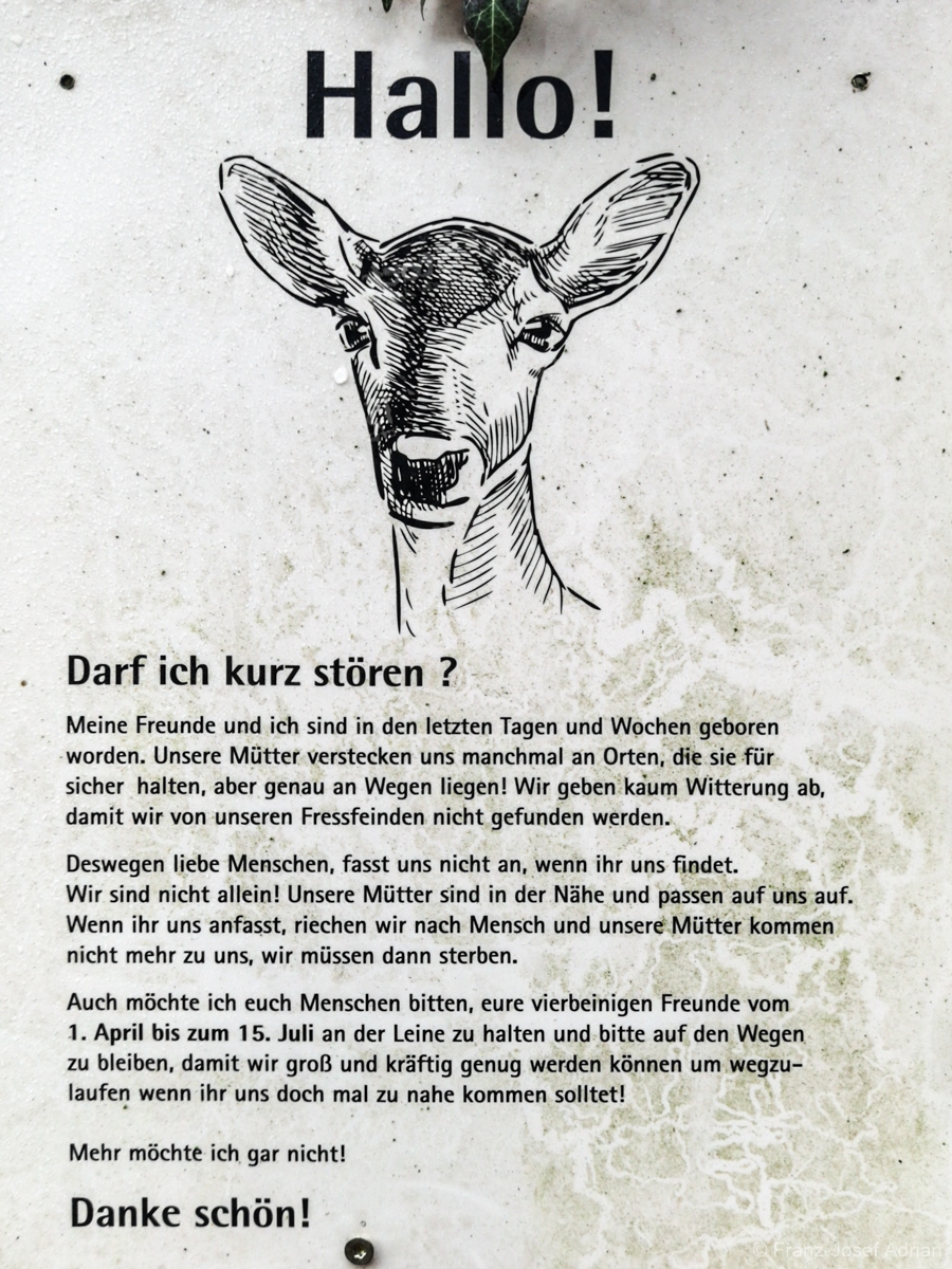 Alptraum_Suentel-17