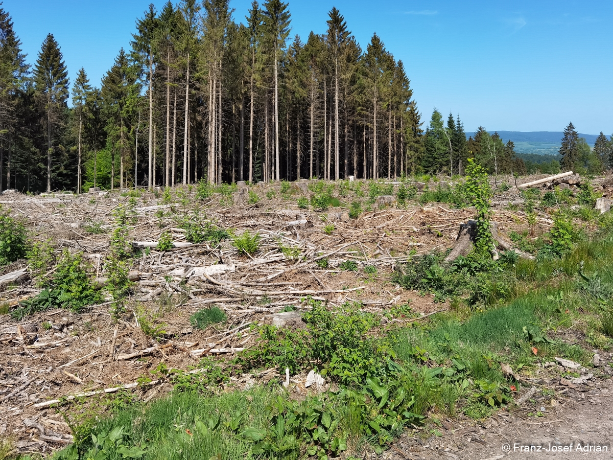 Alptraum_Suentel-4