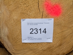 Fichtenstämme für den Holzgroßhandel