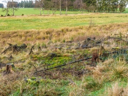 beschädigter Boden, auf dem nicht einmal Gras wächst