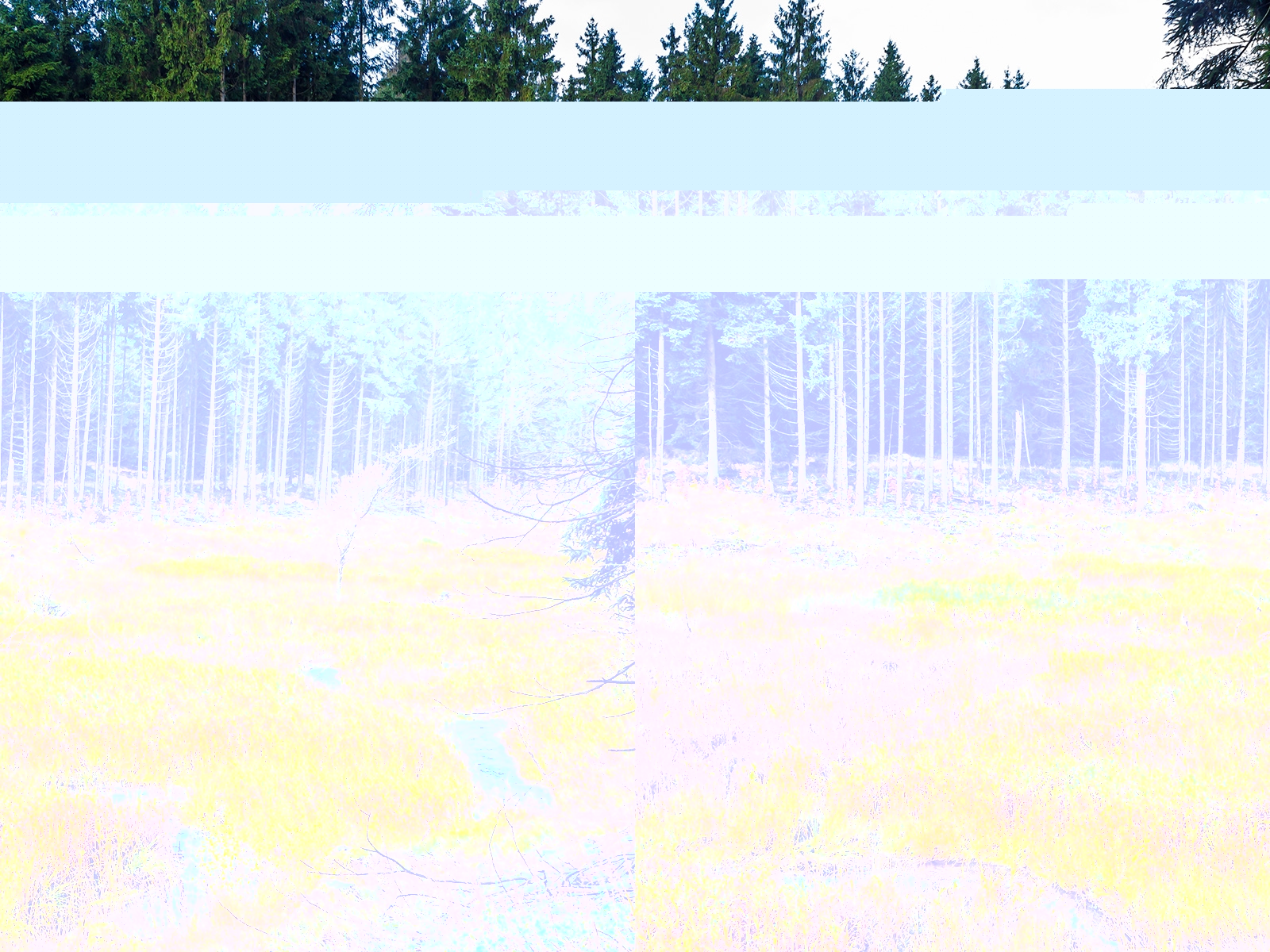 fiasko_01