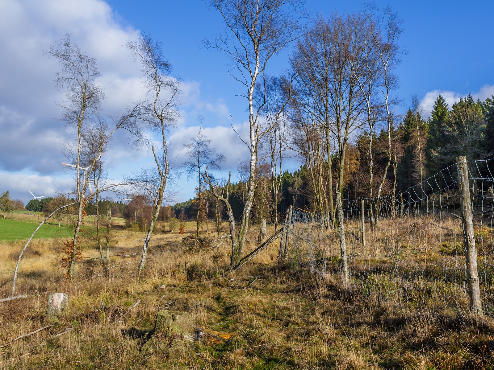 fiasko_04