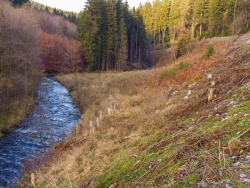 Bodenerosion am steilen Hang