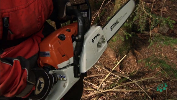 Bauhus_Stihl