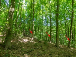 Bedränger zusätzlich mit Pfeilen markiert