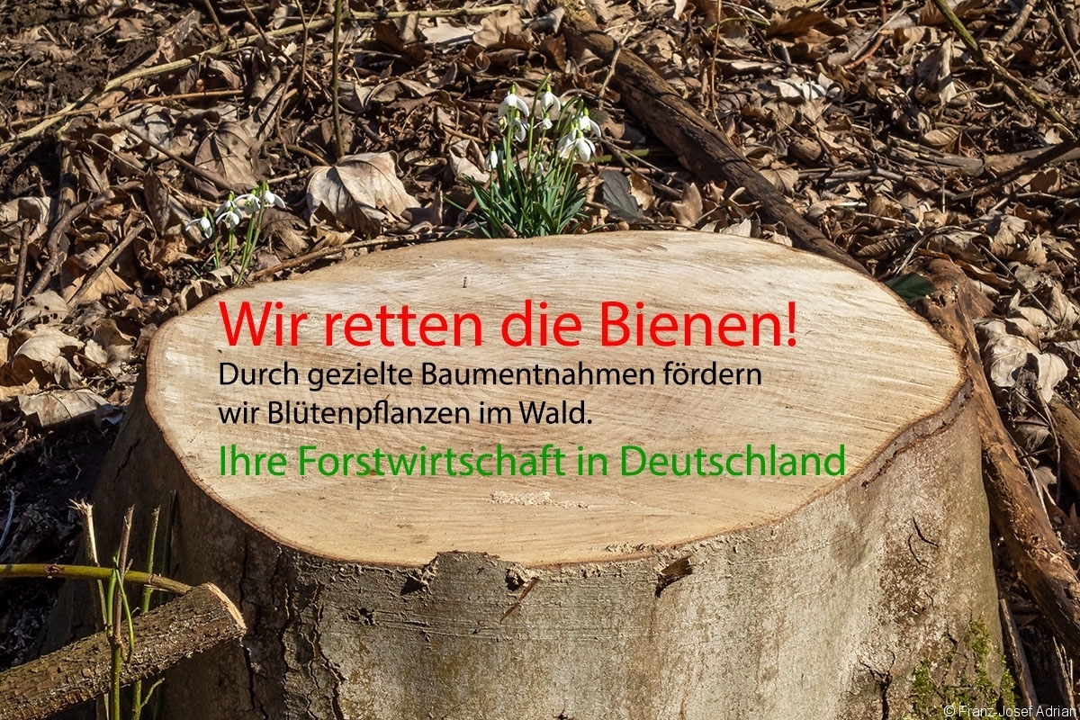 Rettet_die_Bienen