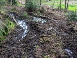 tiefe Bodengleise, knöcheltiefer Schlamm