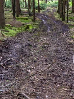 tiefe Bodengleise im verschlammter Rückegasse