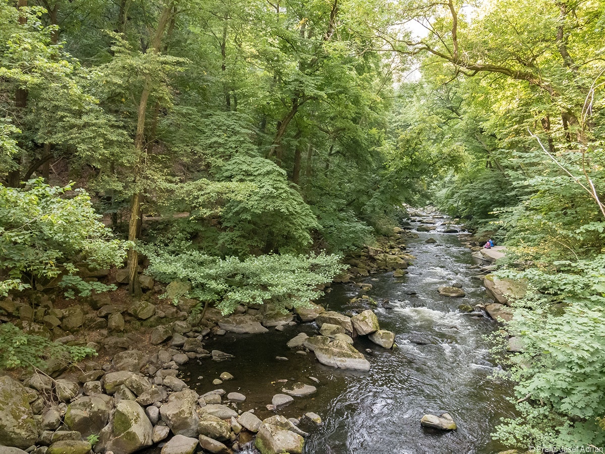 Bodetal_01