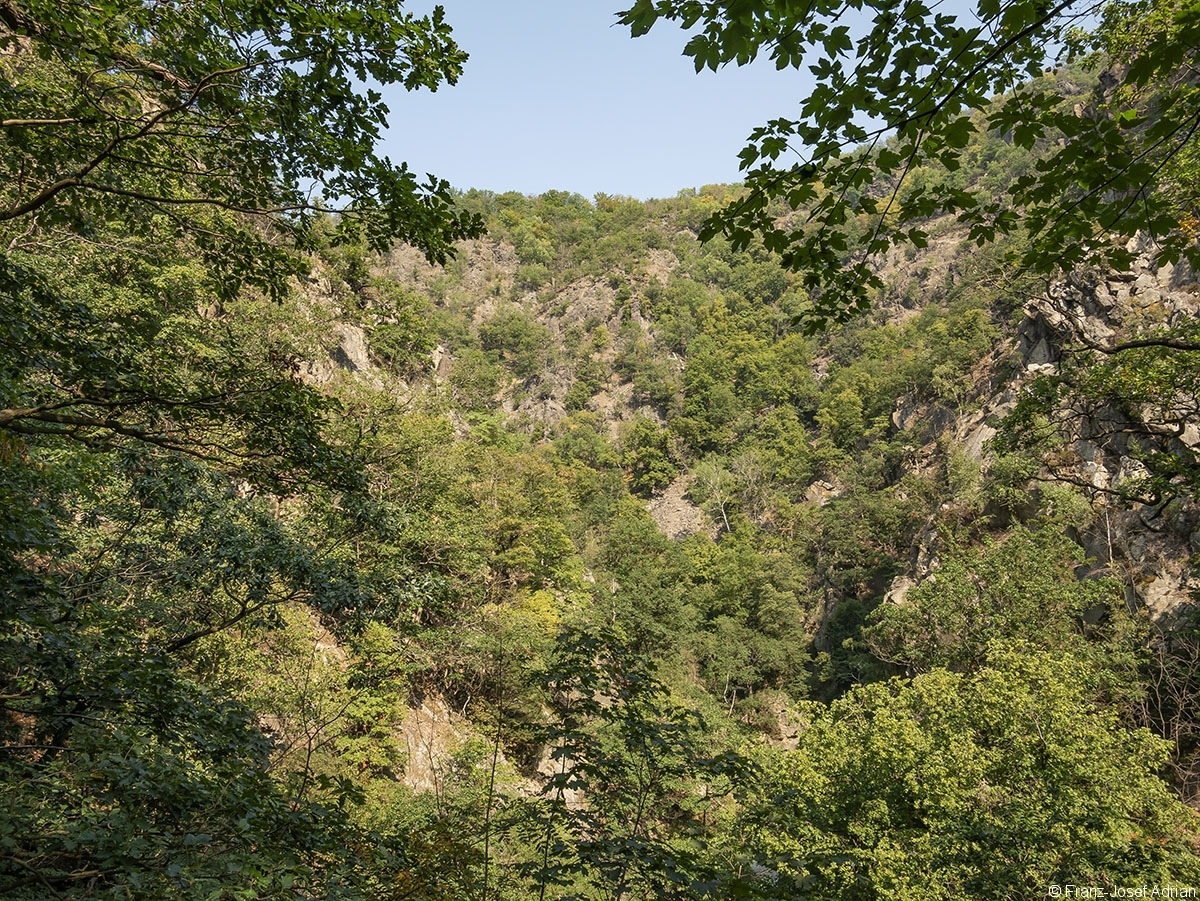 Bodetal_06