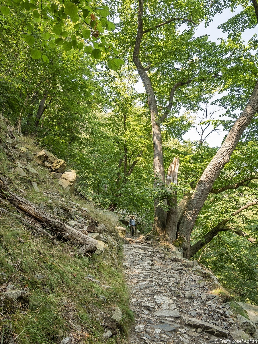 Bodetal_08