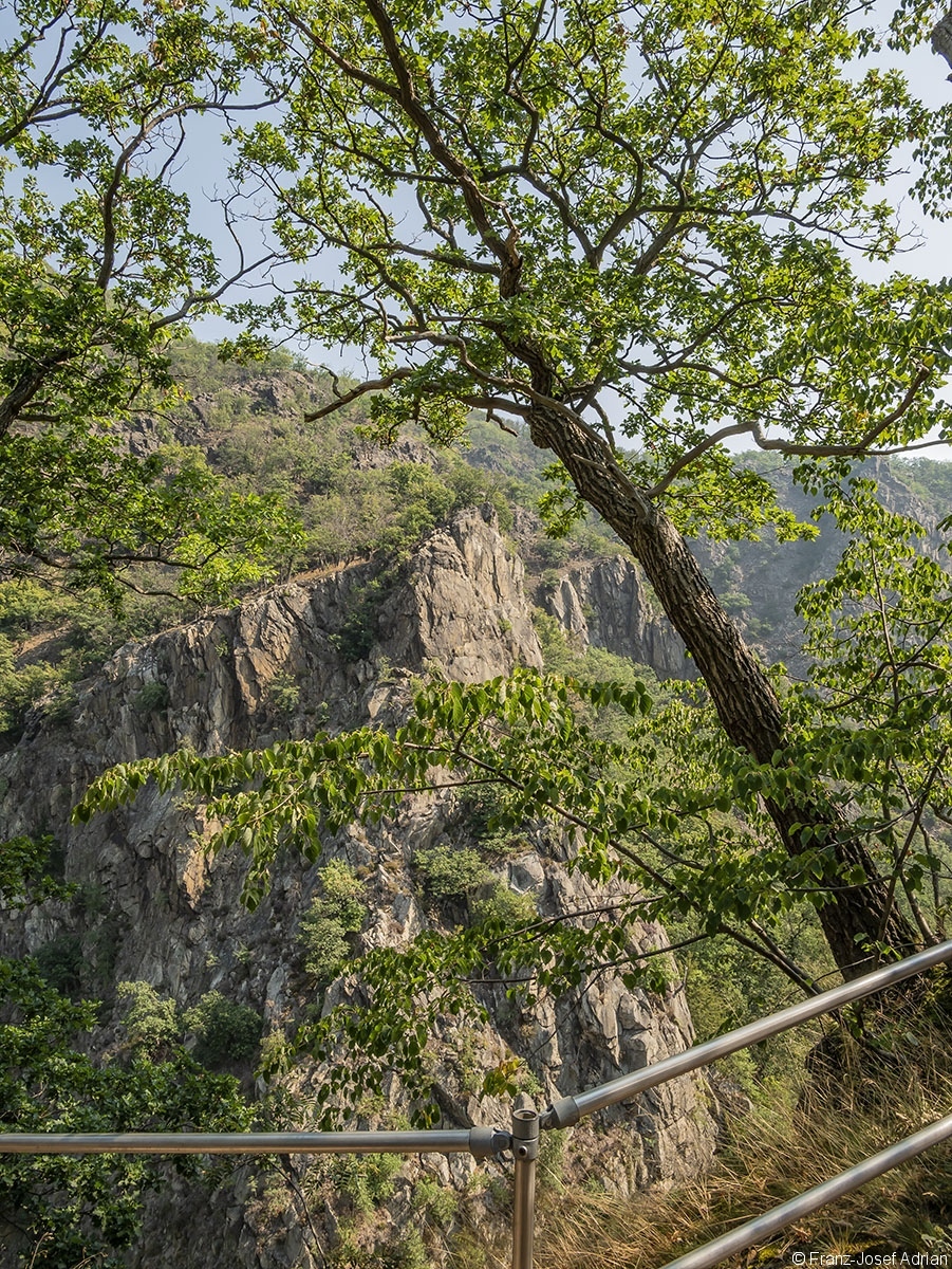 Bodetal_10