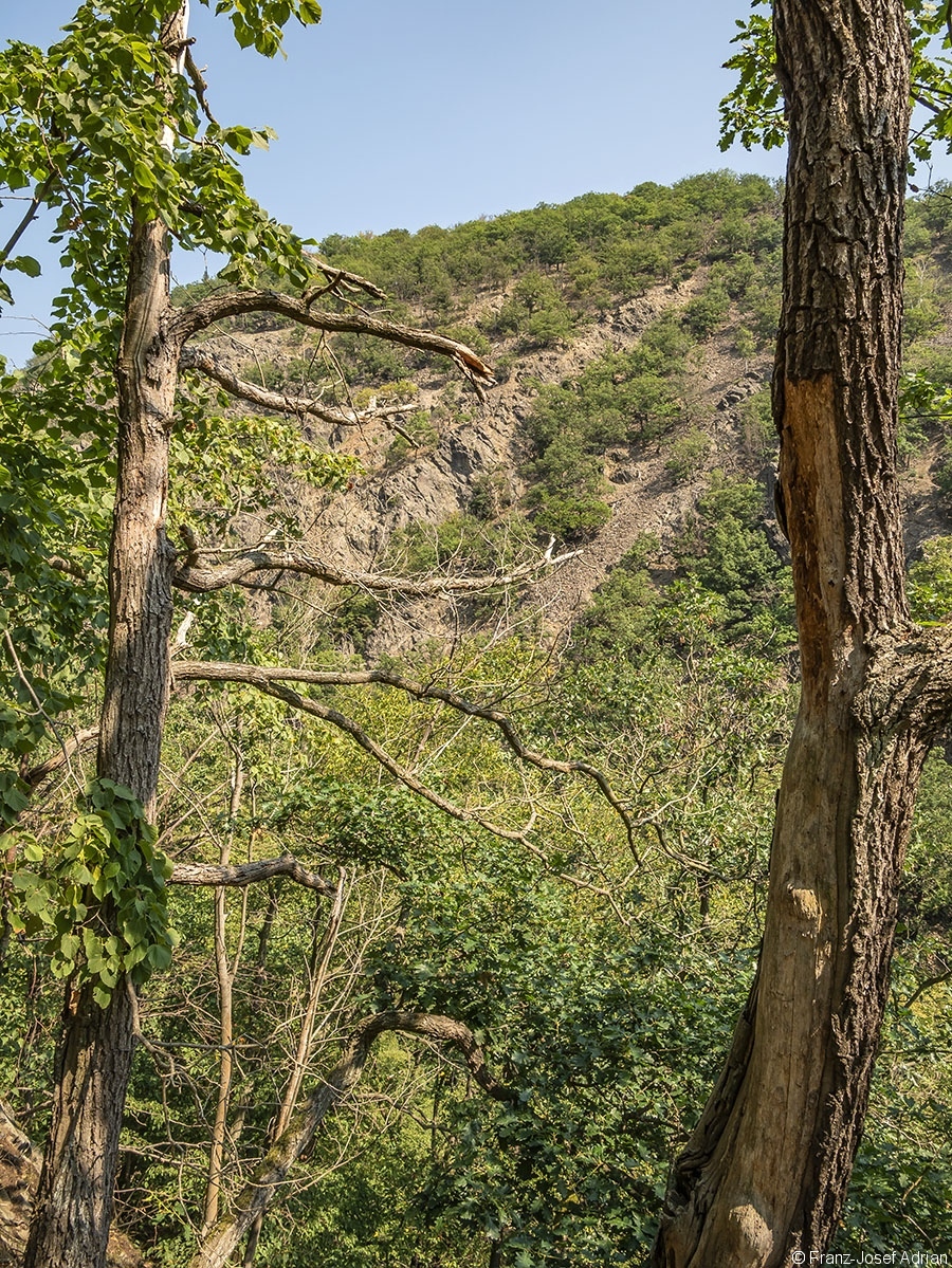 Bodetal_11