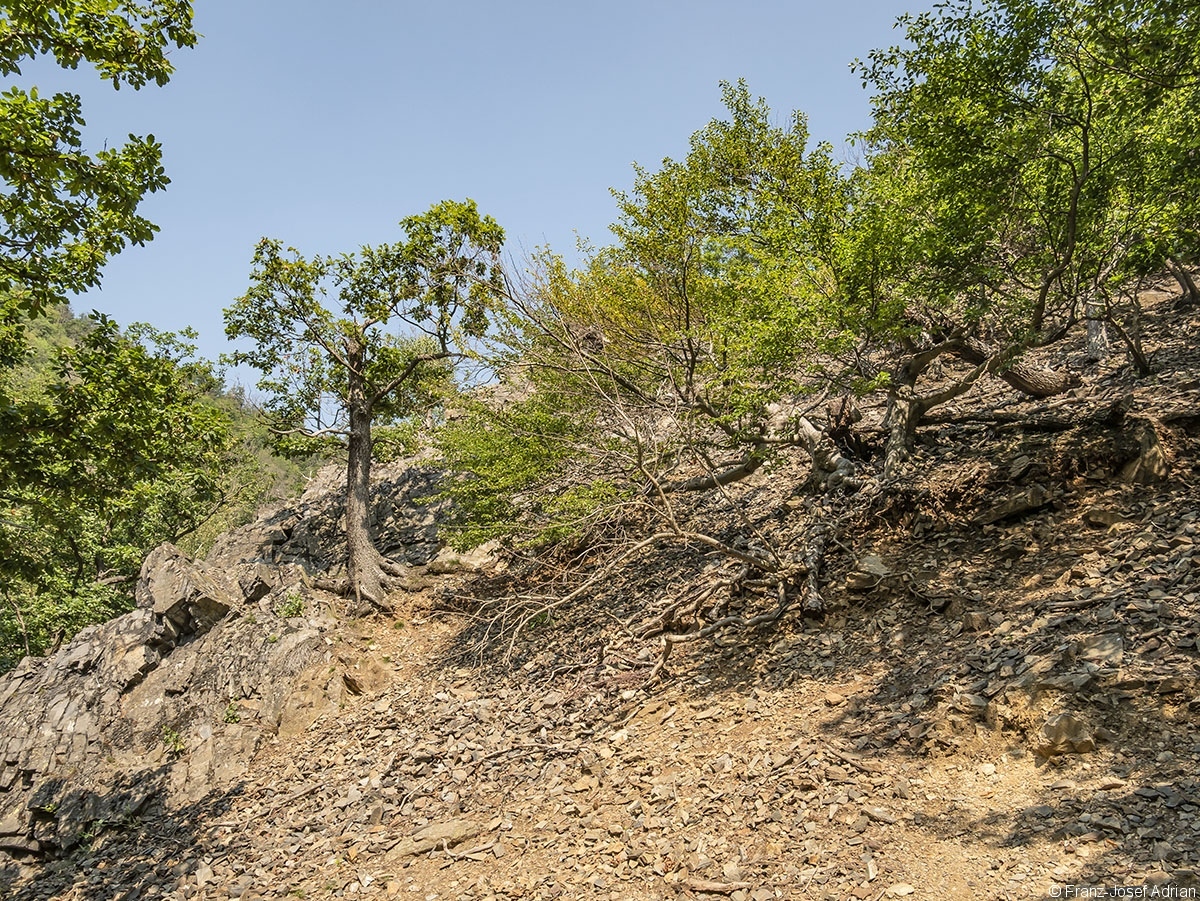 Bodetal_12