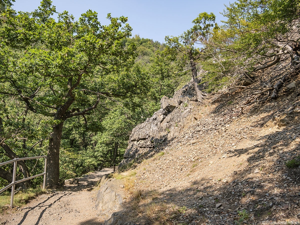 Bodetal_13
