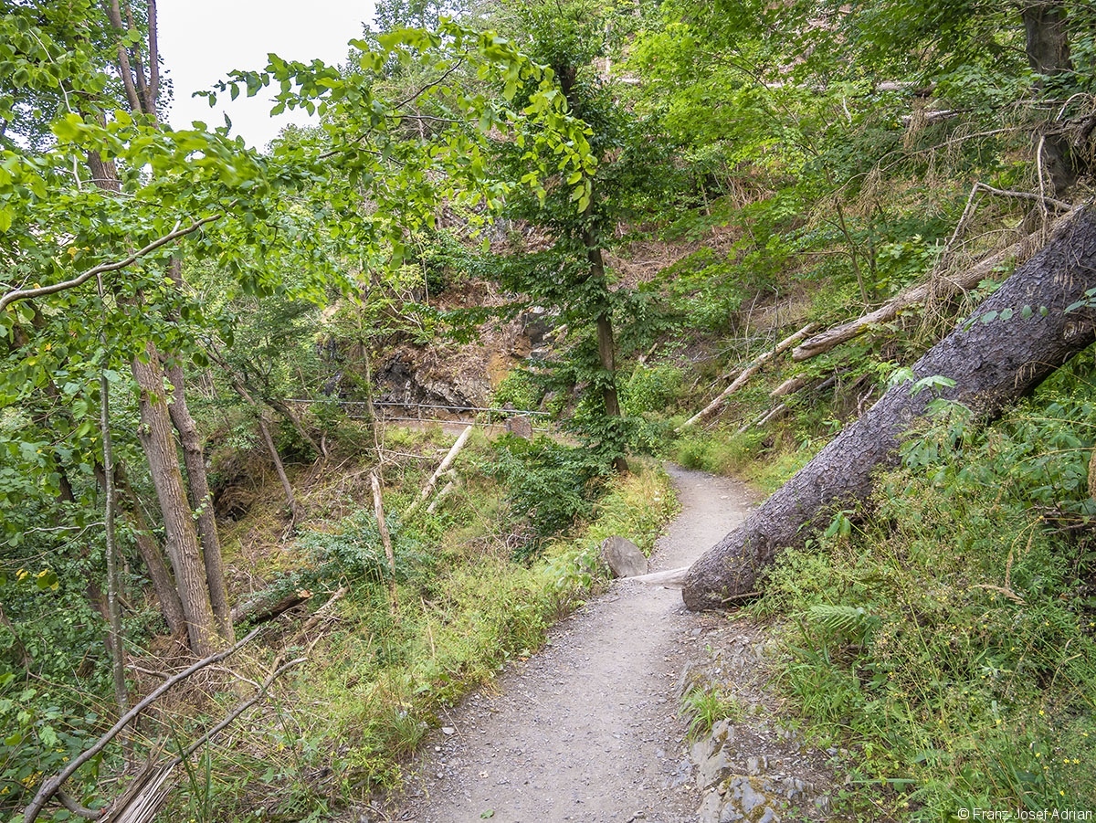 Bodetal_14