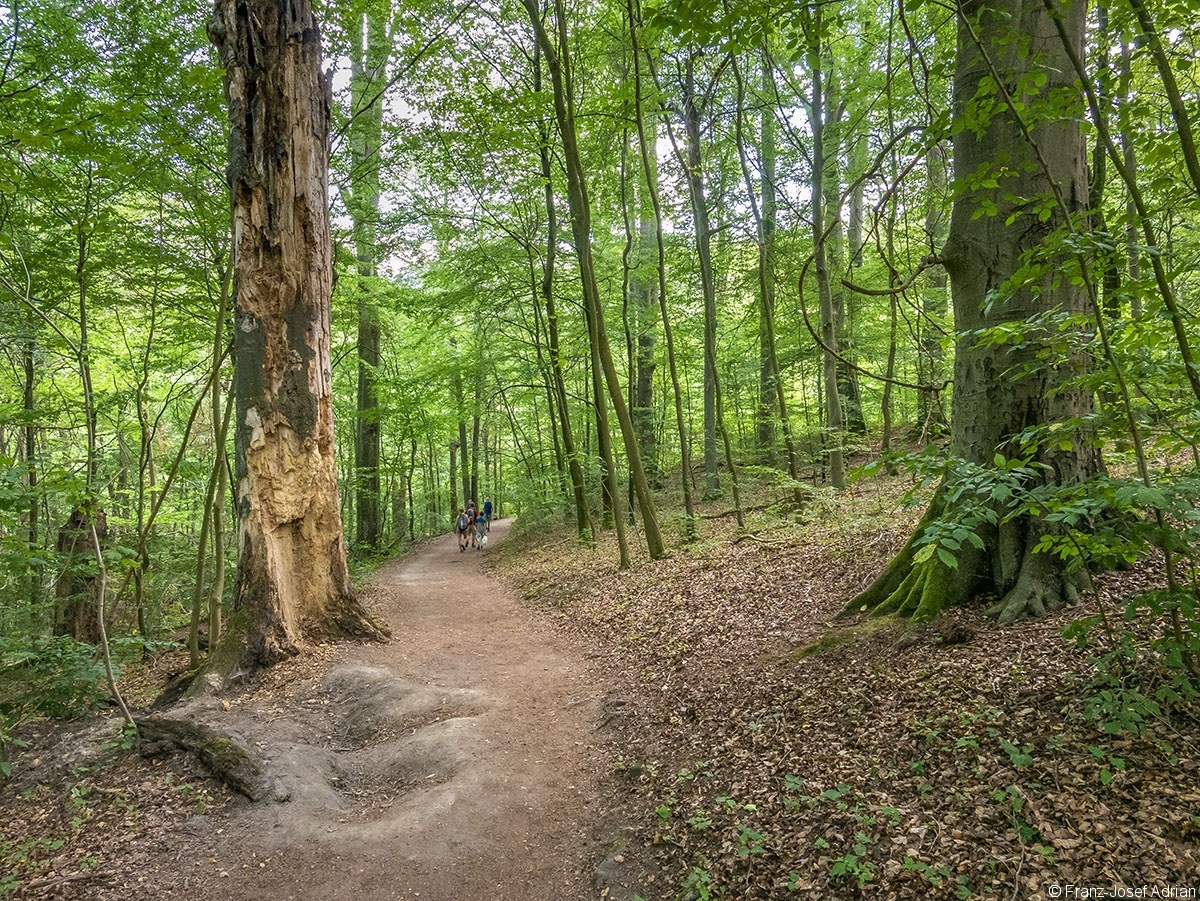 Bodetal_17