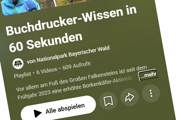 Buchdrucker-Wissen-1