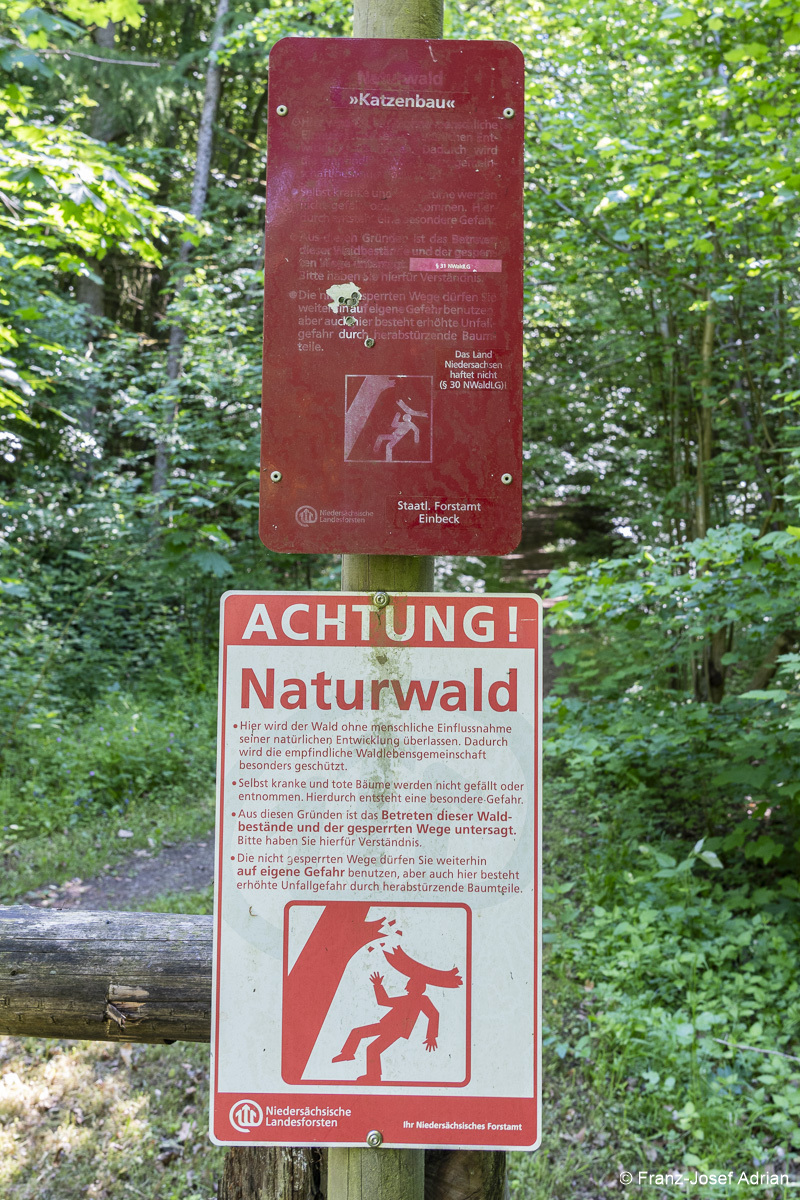 Achtung_Naturwald