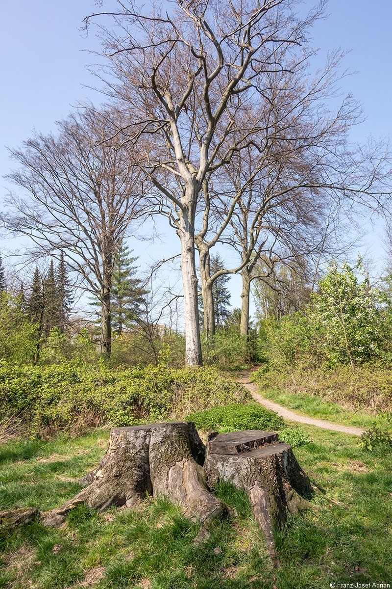 Bottrop_Schluss_1