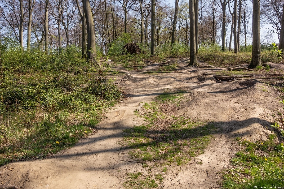 MTB_Piste_1