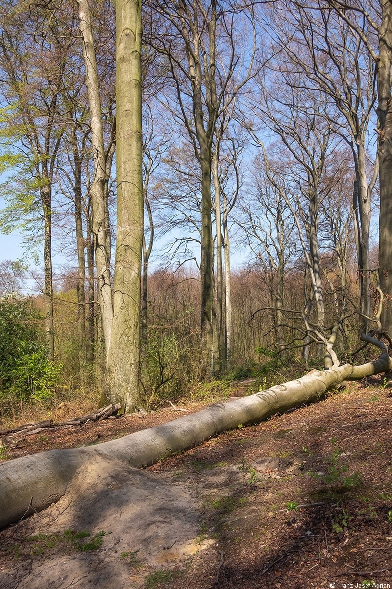 MTB_Piste_4
