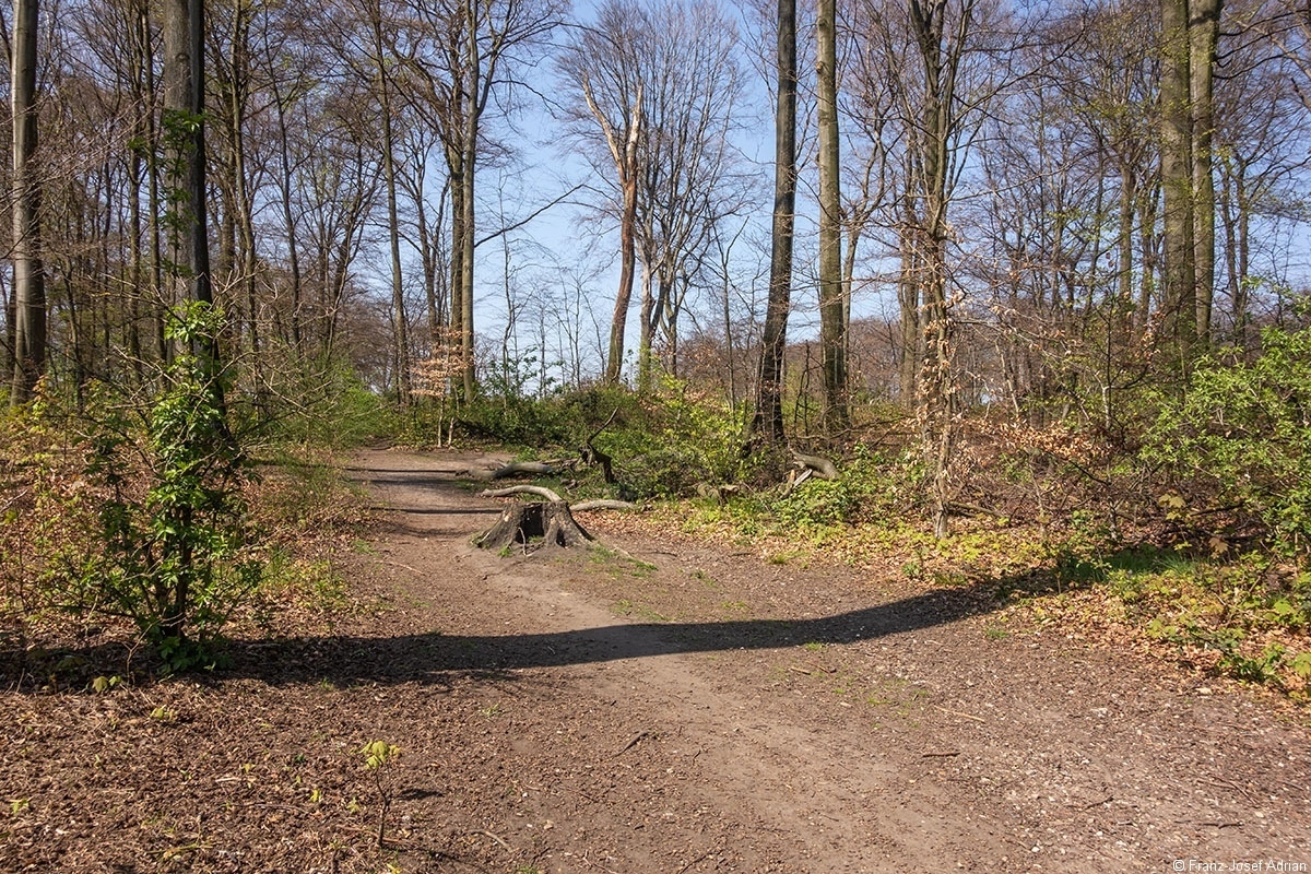 Wanderweg