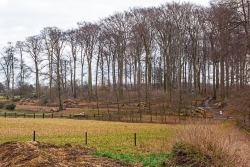 Blick auf den östlichen Rand des Wäldchens