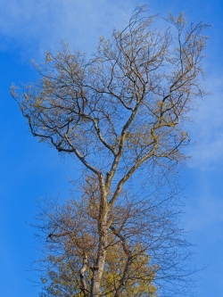 der Sonne schutzlos ausgesetzt