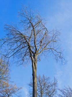 Bilder des Jammers