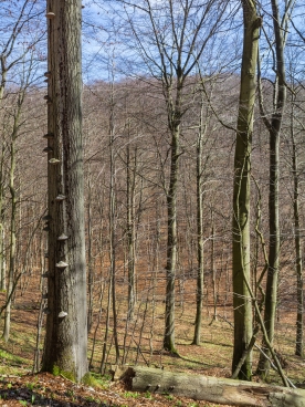Blick ins Lange Tal