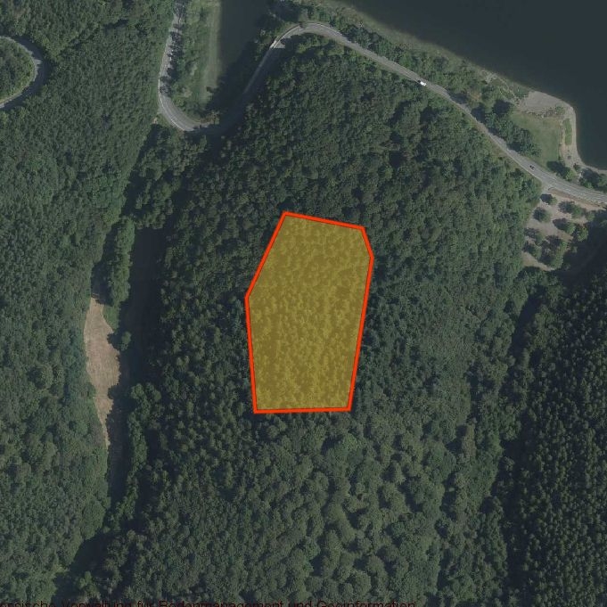 Luftbild_Kahlschlag