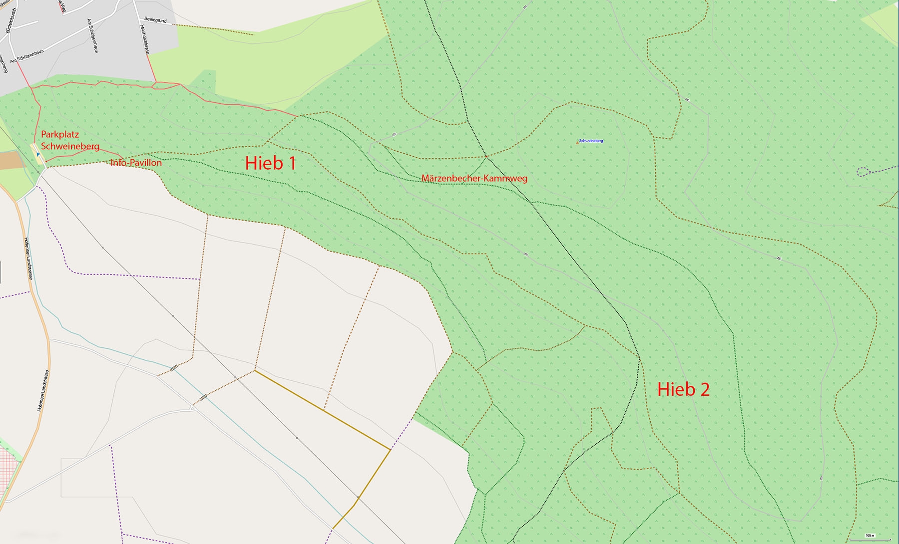 Hiebe_Schweineberg