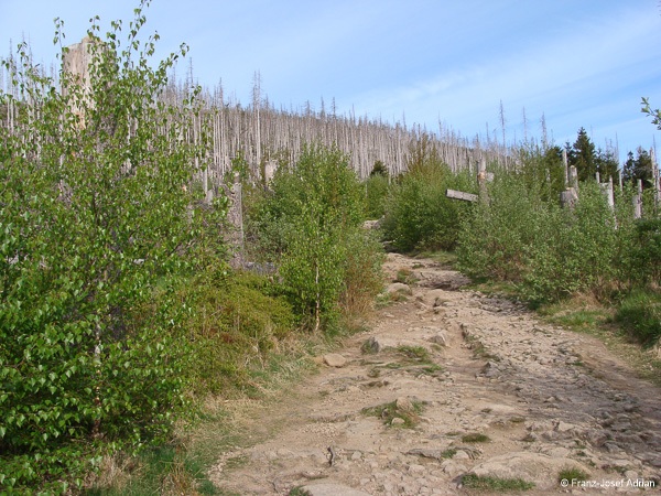 Eckerlochstieg-12