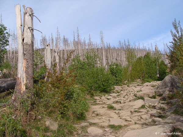 Eckerlochstieg-13