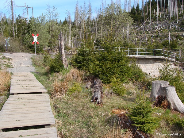 Eckerlochstieg-31