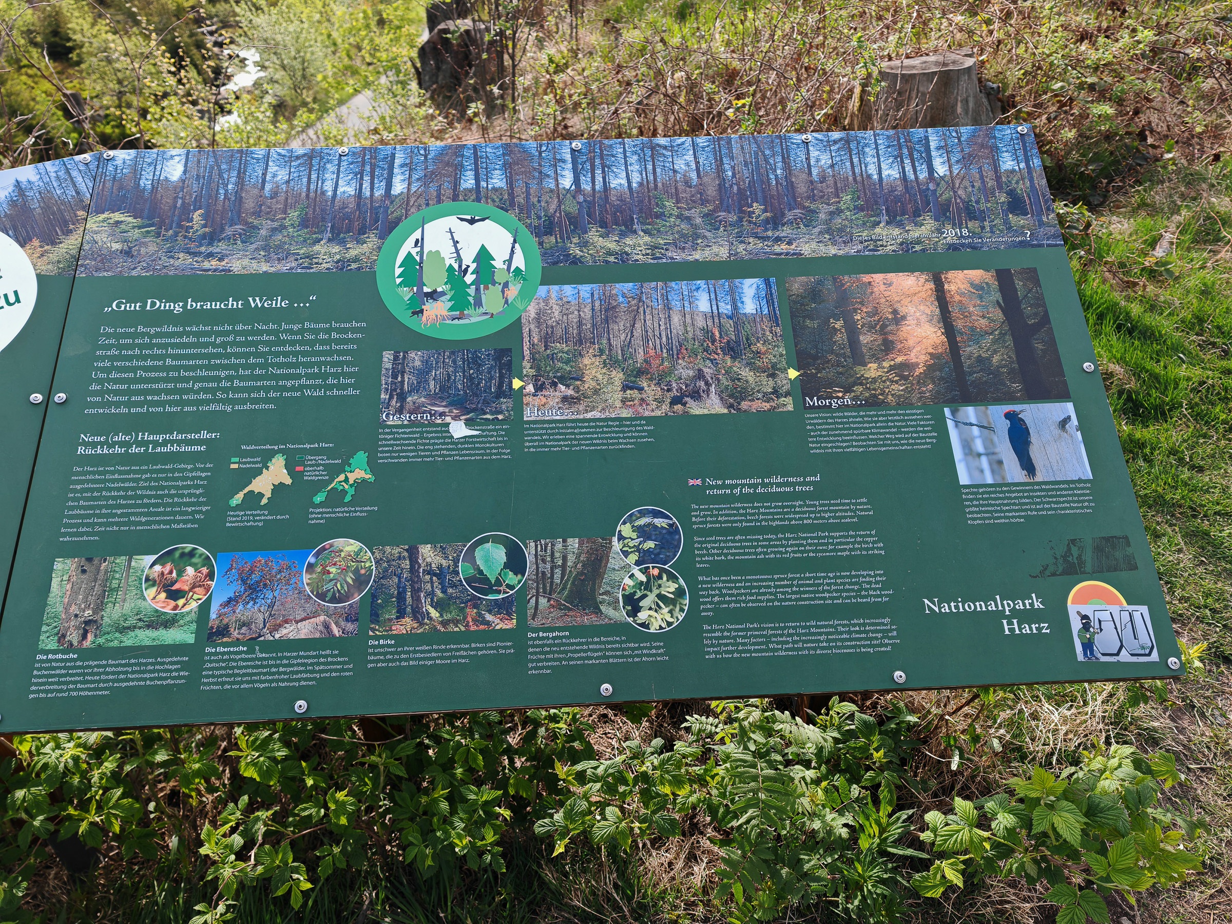 Infotafel_Eckerloch-3