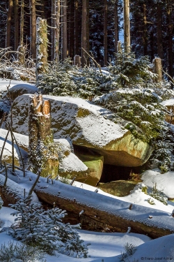 Brockenurwald am Eckerloch