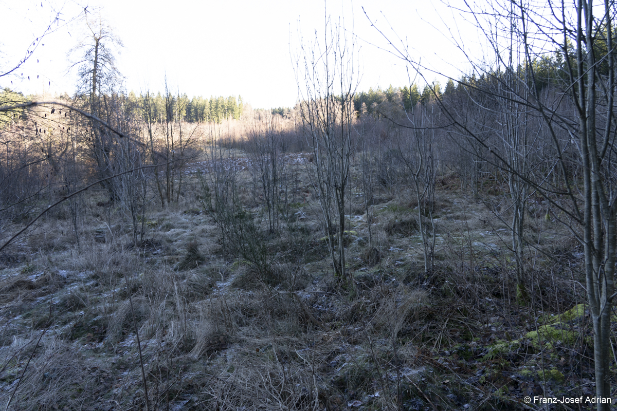 NLP_Eifel_Wuestebach-2