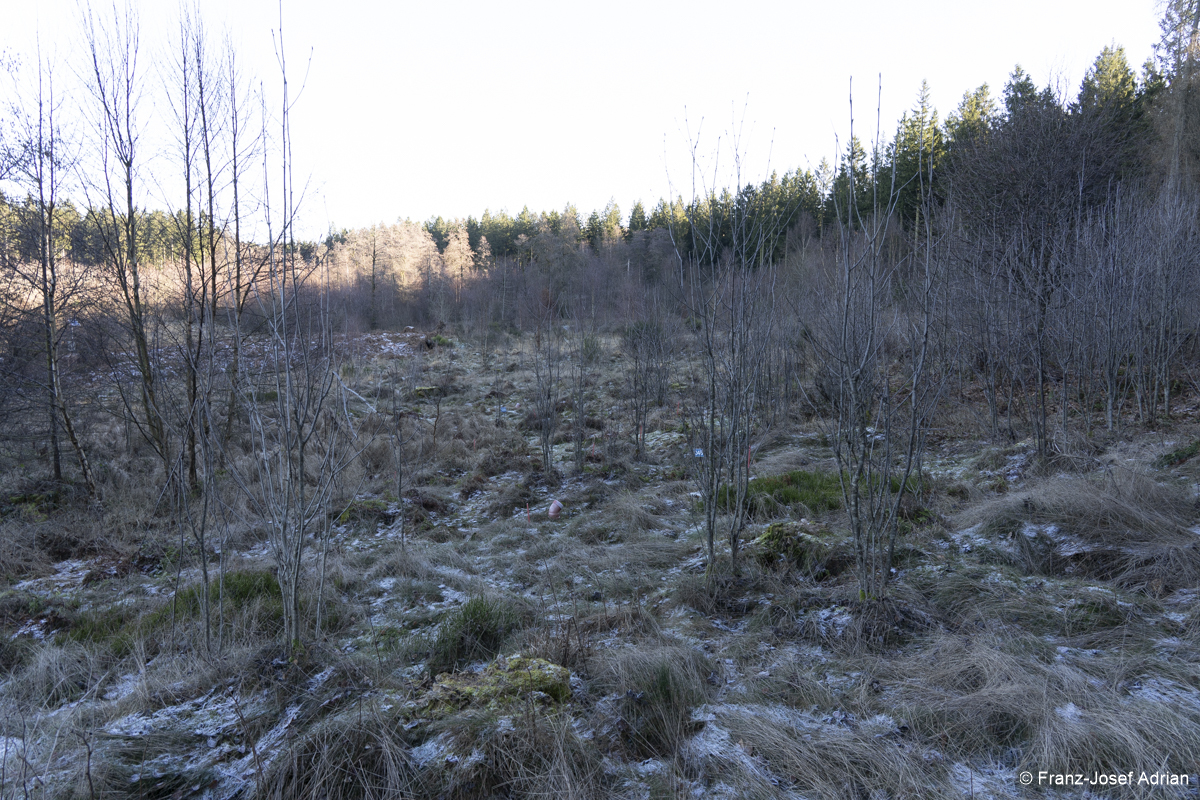NLP_Eifel_Wuestebach-4