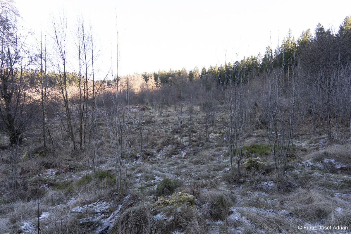 NLP_Eifel_Wuestebach-5