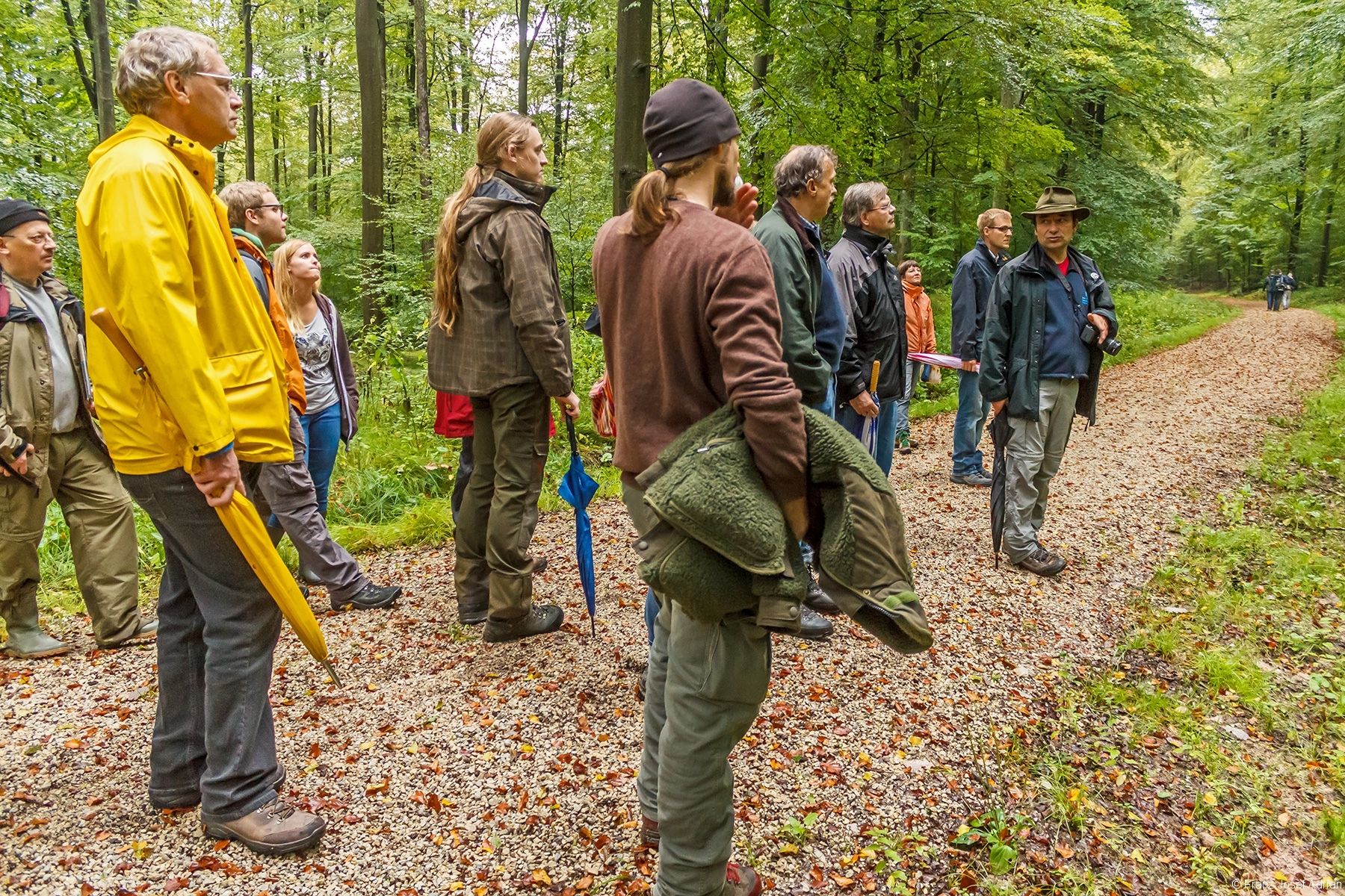 Exkursionsgruppe in der Waldabteilung Winterrangen