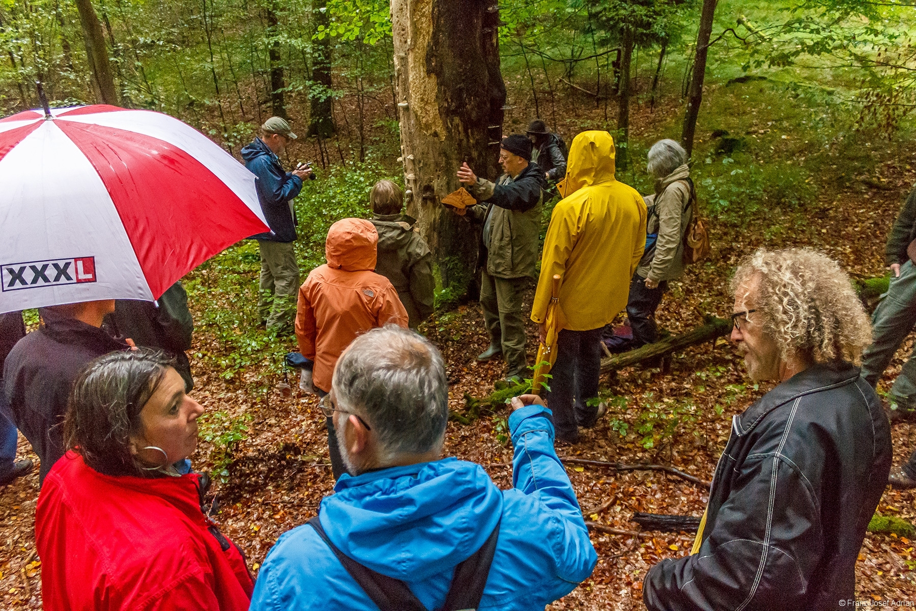 Oltsch mit einem Zunderschwamm vor Zunderschwammbuche