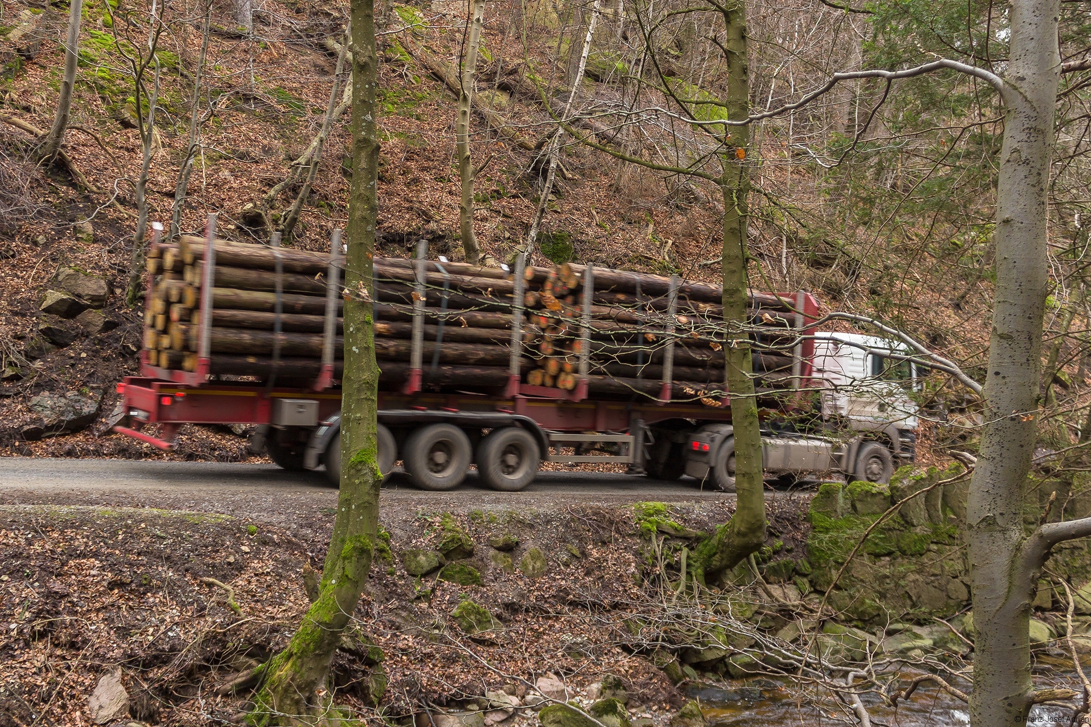 Holztransport_2