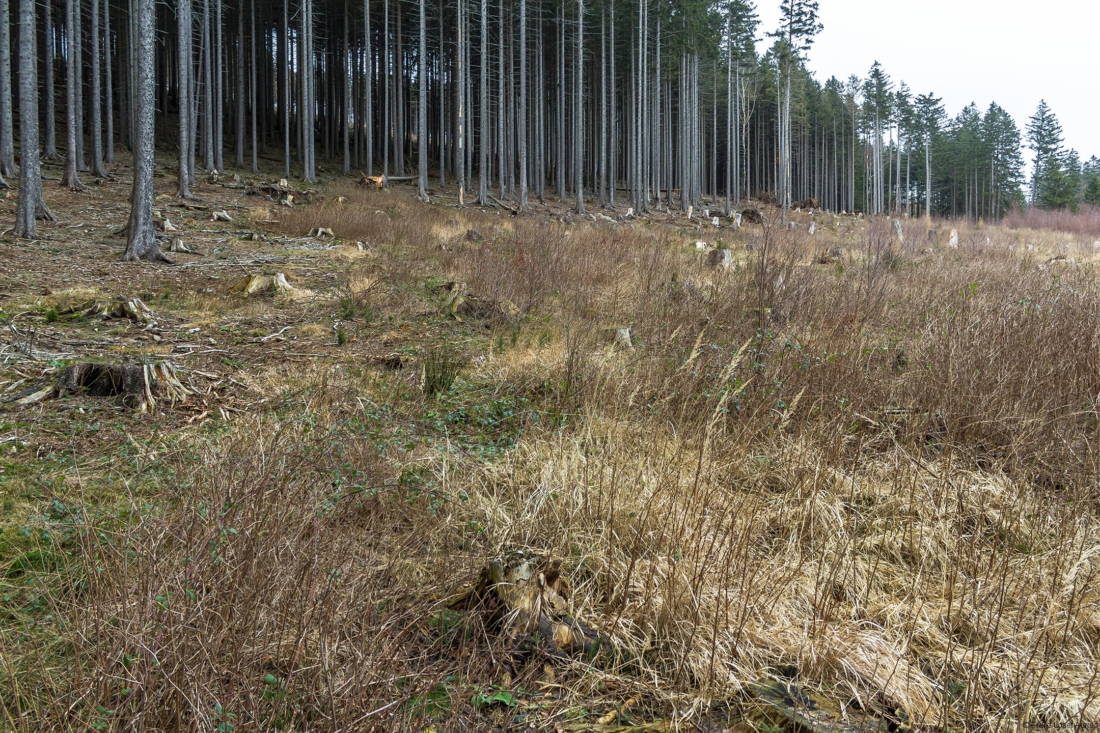 Plessenburg_01