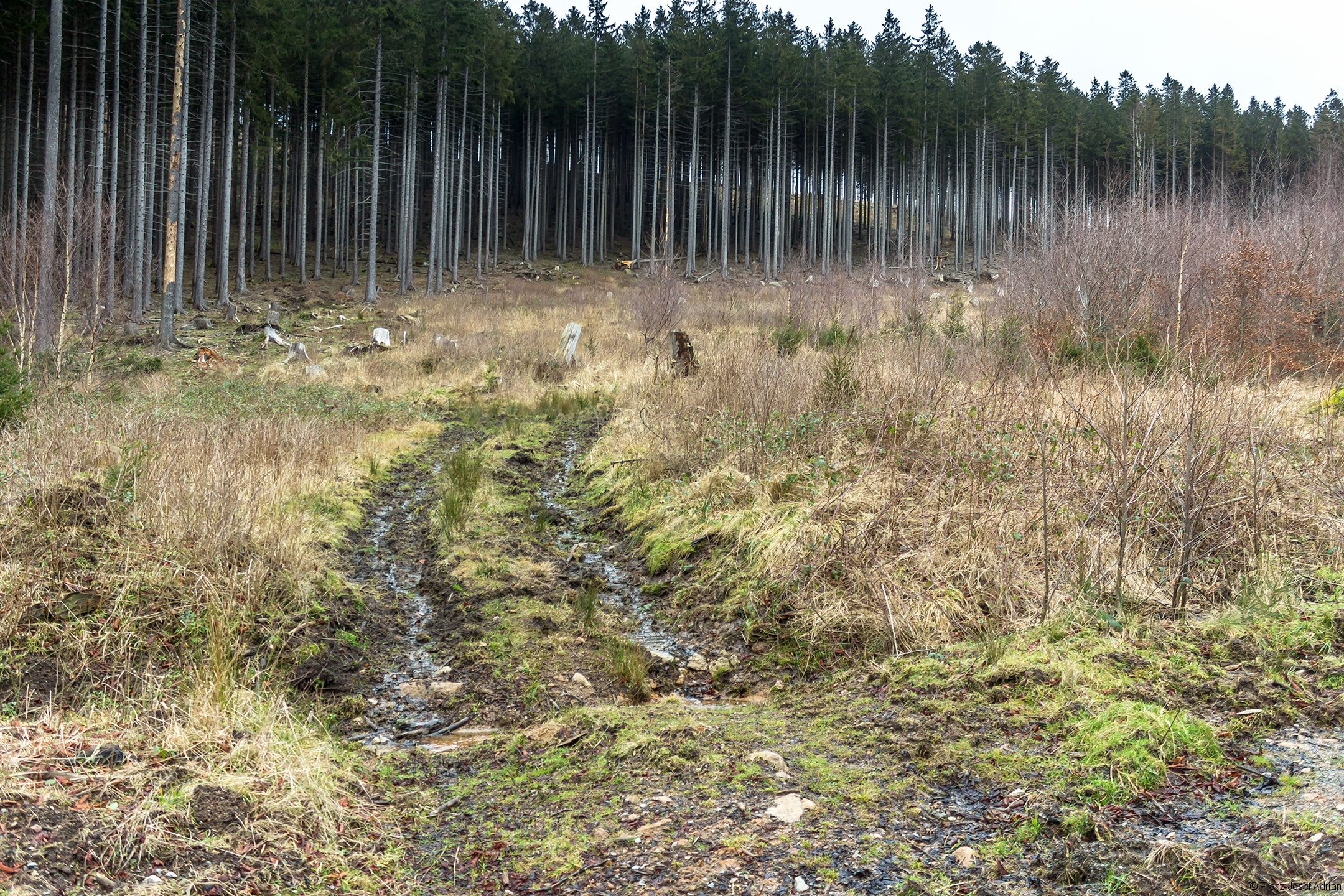 Plessenburg_03